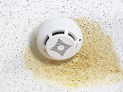 Donahoo Roofing Images